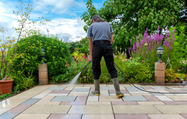 Professional Pressure Washing in Las Animas, CO